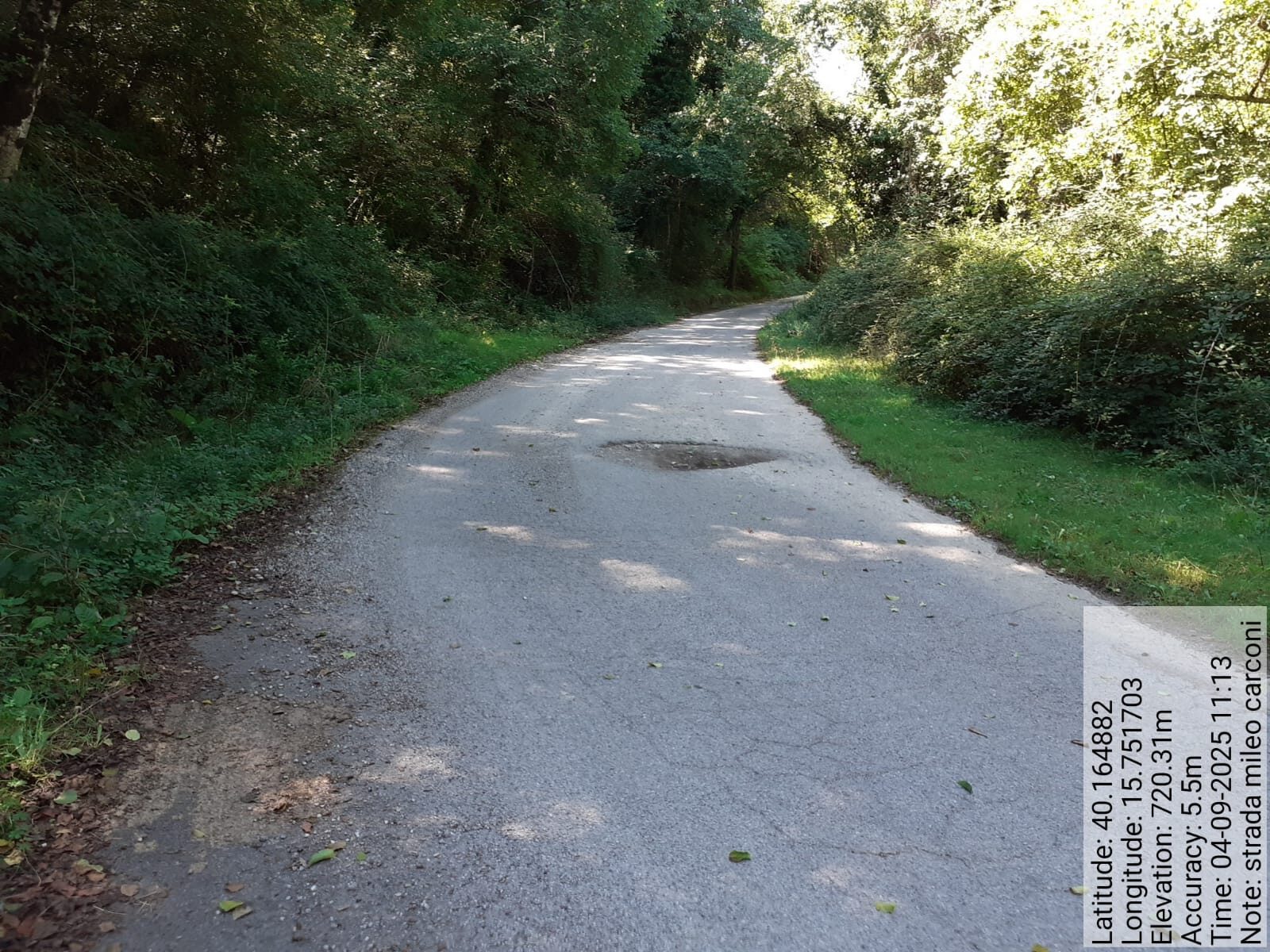 Galleria Fotografica Immagine