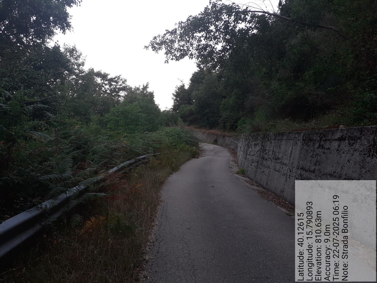 Galleria Fotografica Immagine