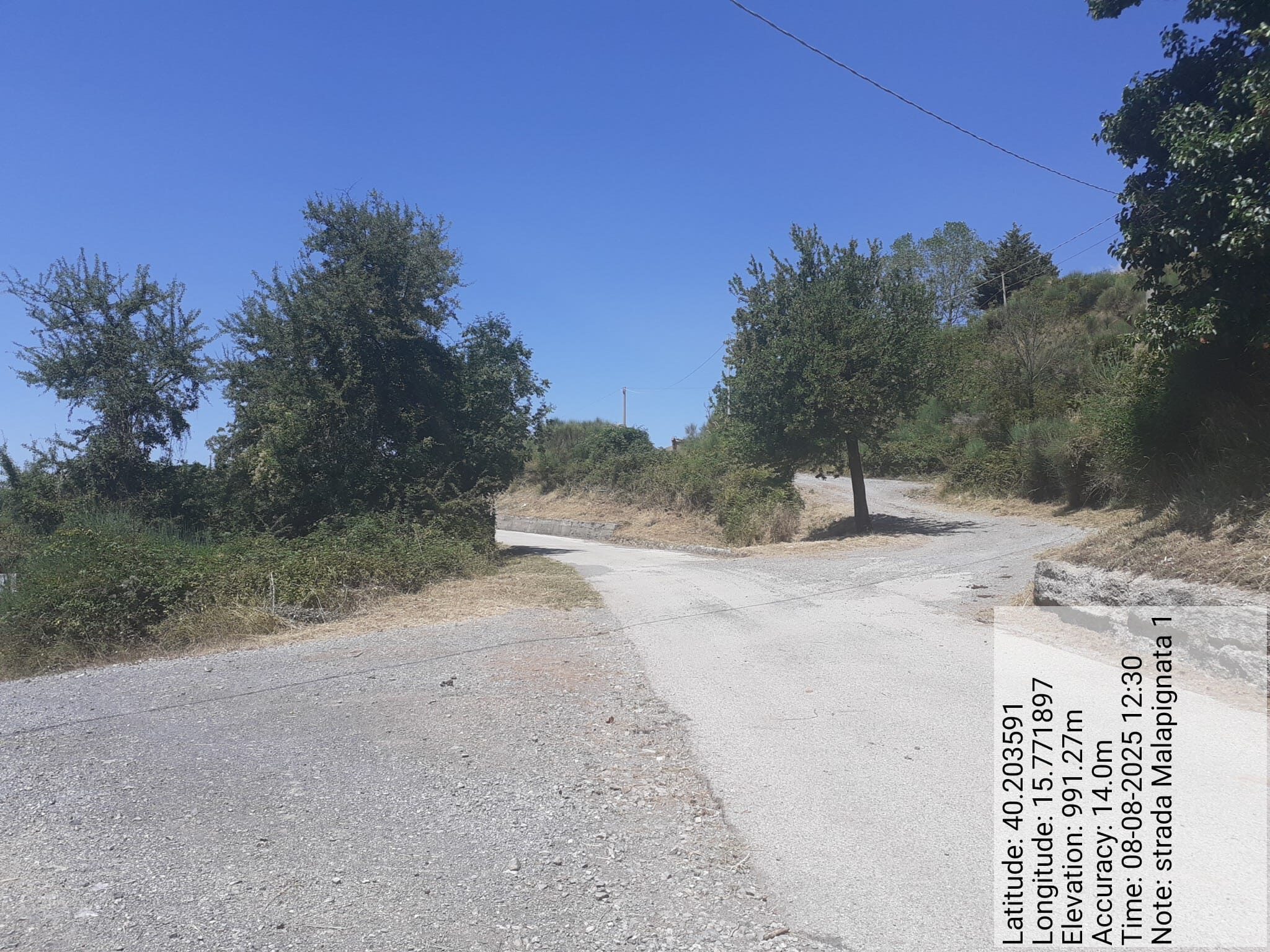 Galleria Fotografica Immagine