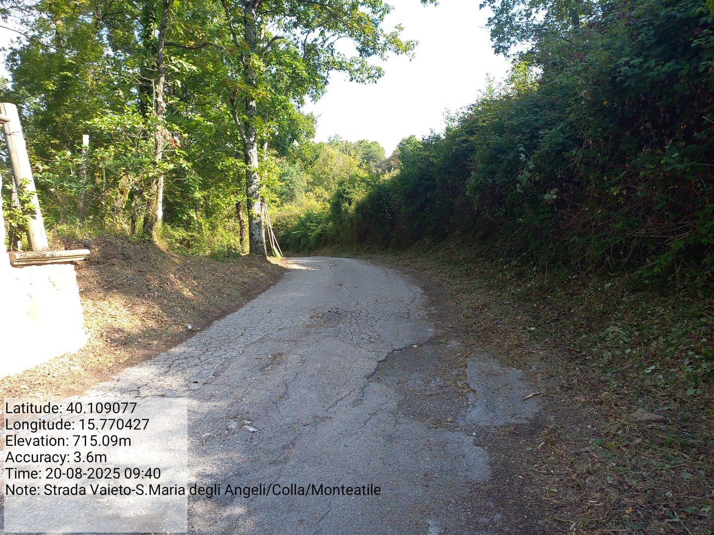 Galleria Fotografica Immagine