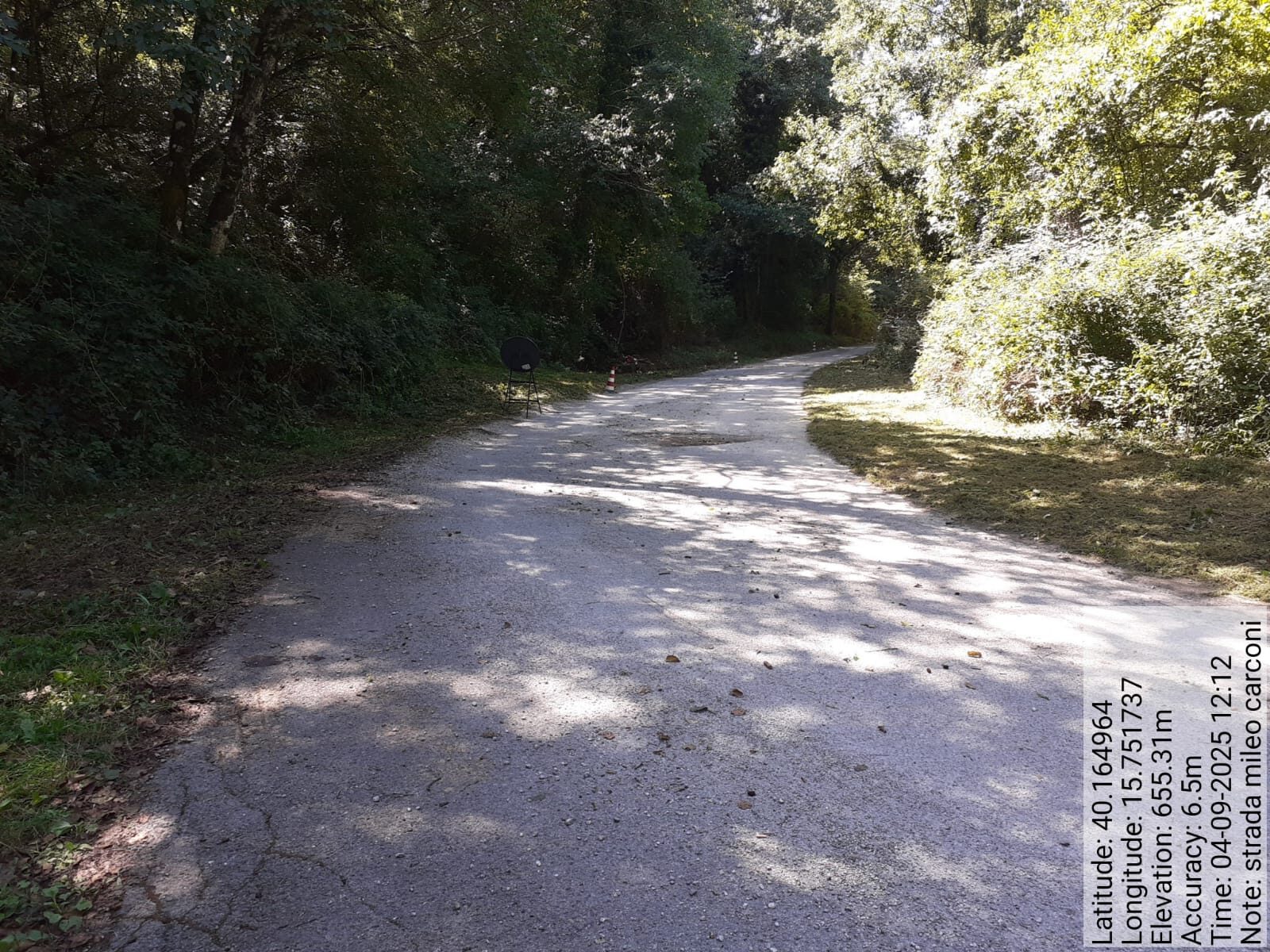 Galleria Fotografica Immagine