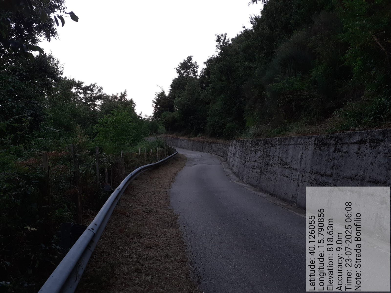 Galleria Fotografica Immagine