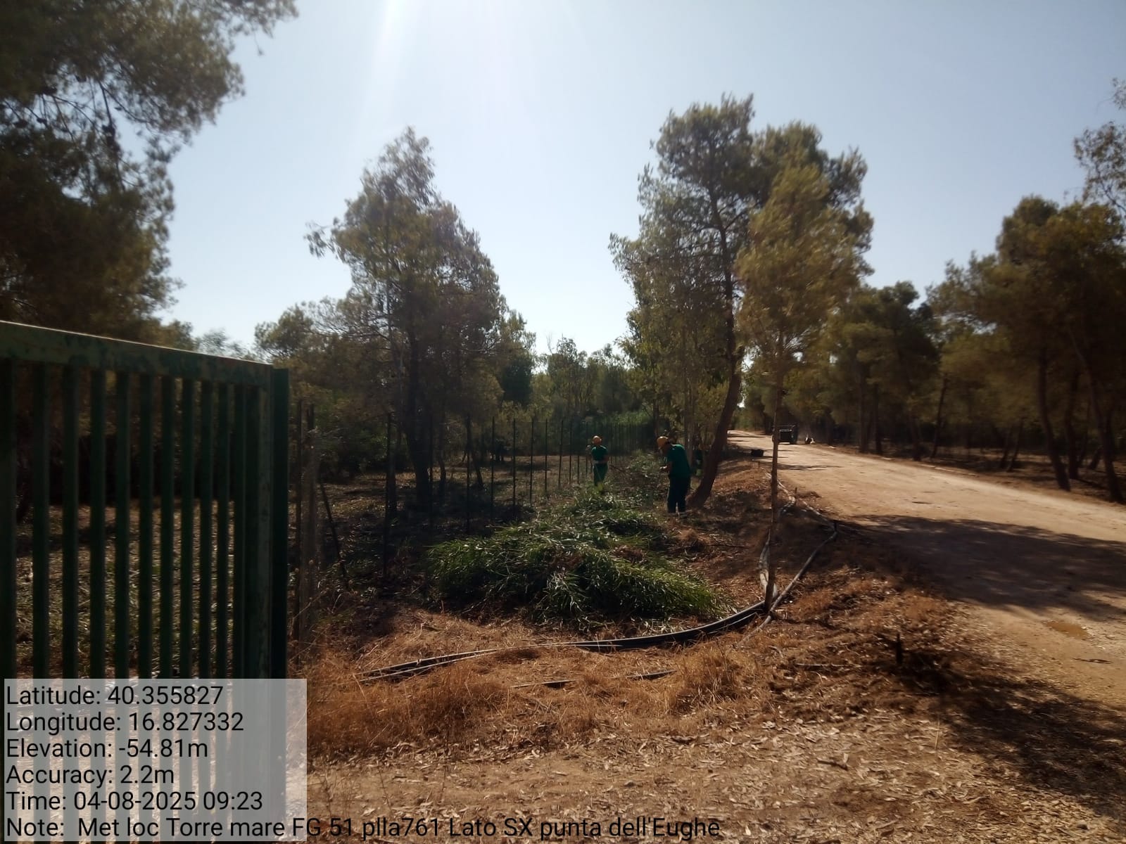 Galleria Fotografica Immagine