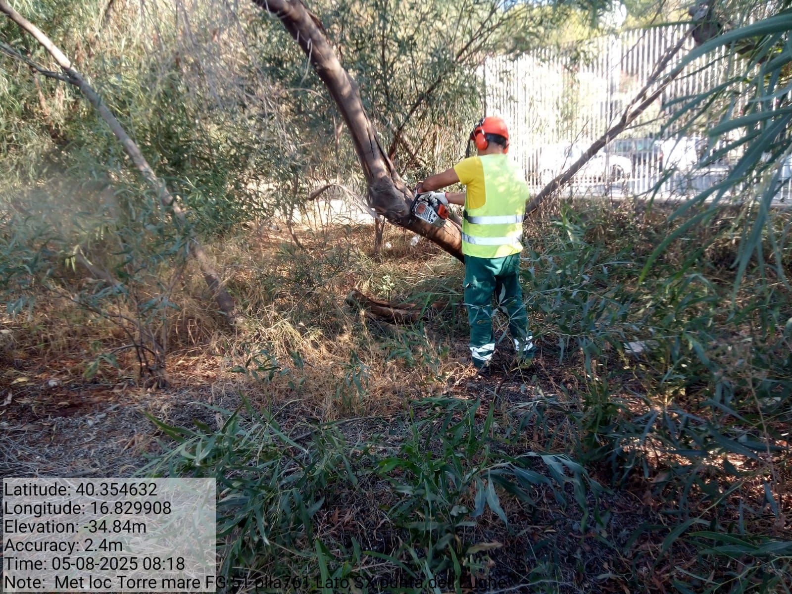 Galleria Fotografica Immagine