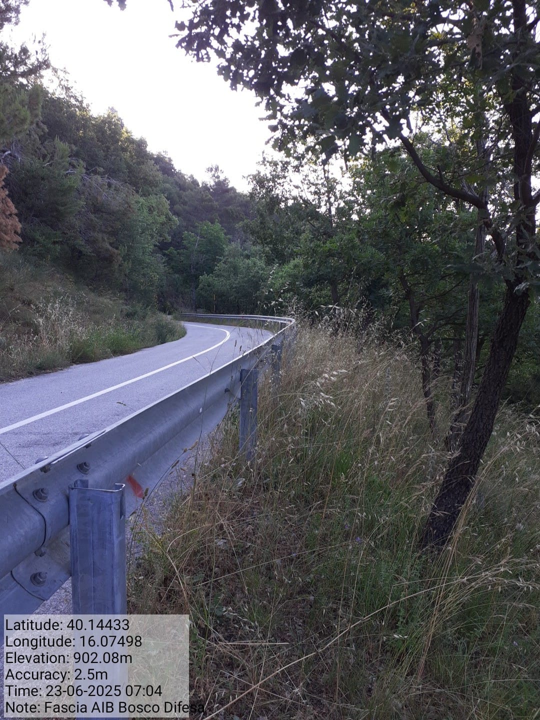 Galleria Fotografica Immagine