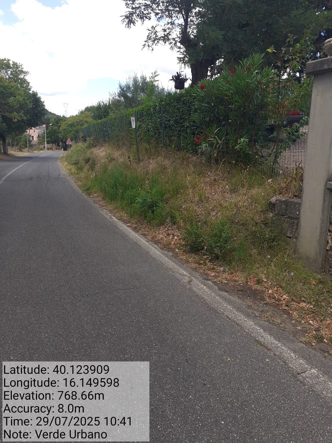 Galleria Fotografica Immagine