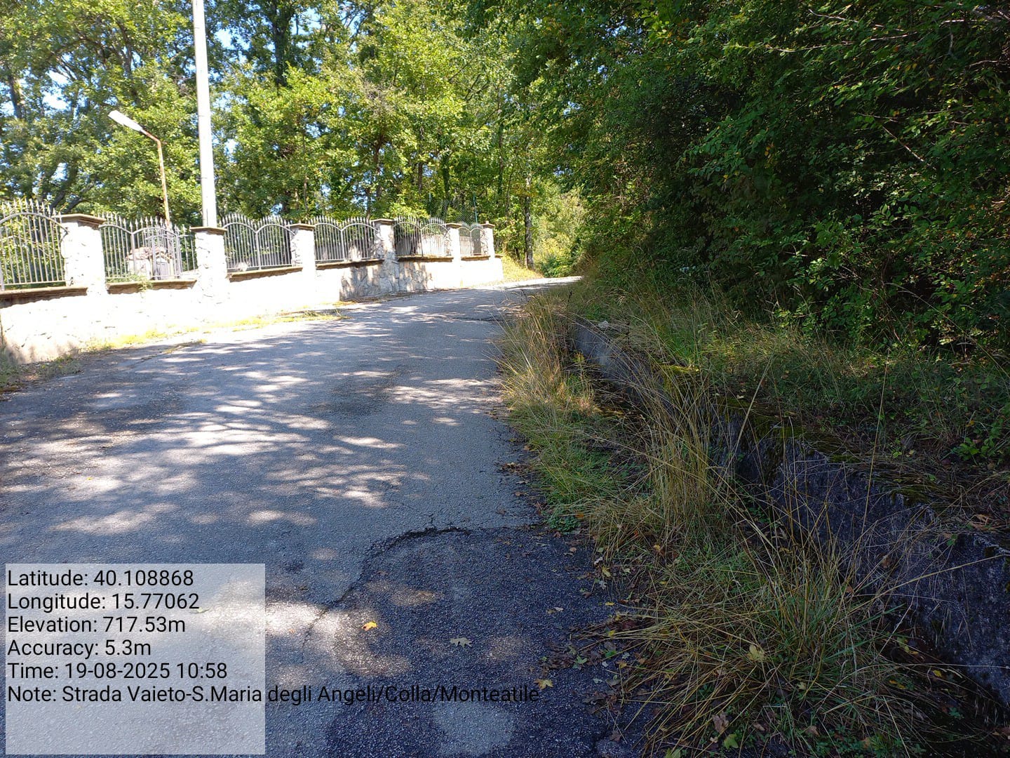 Galleria Fotografica Immagine