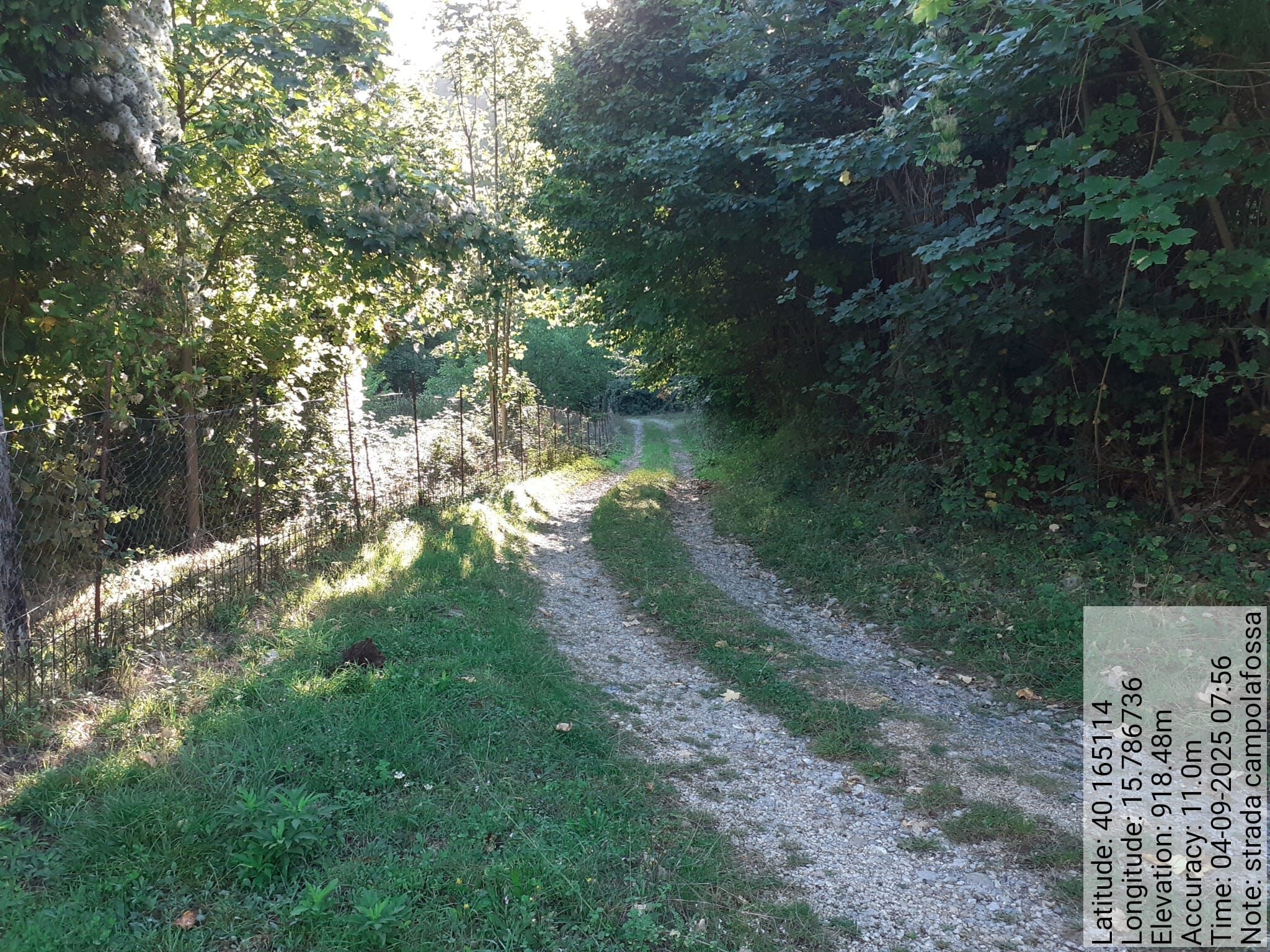 Galleria Fotografica Immagine