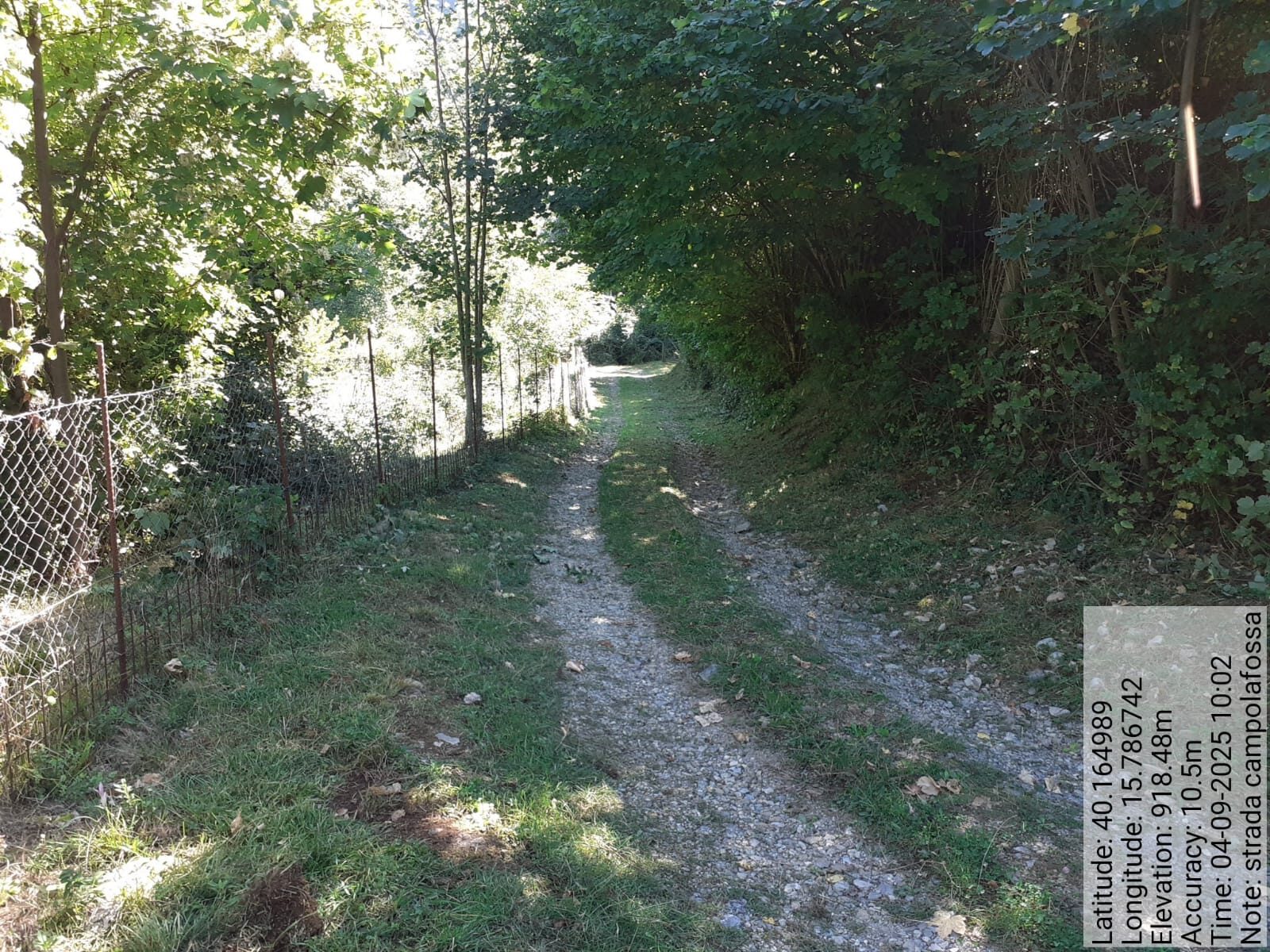 Galleria Fotografica Immagine