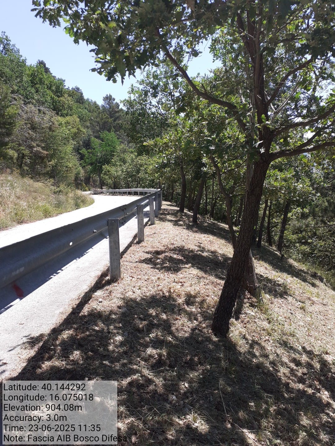 Galleria Fotografica Immagine