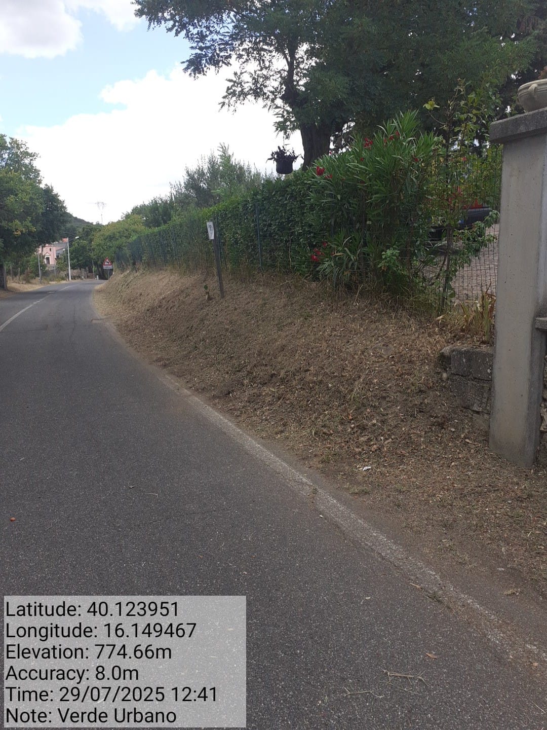 Galleria Fotografica Immagine