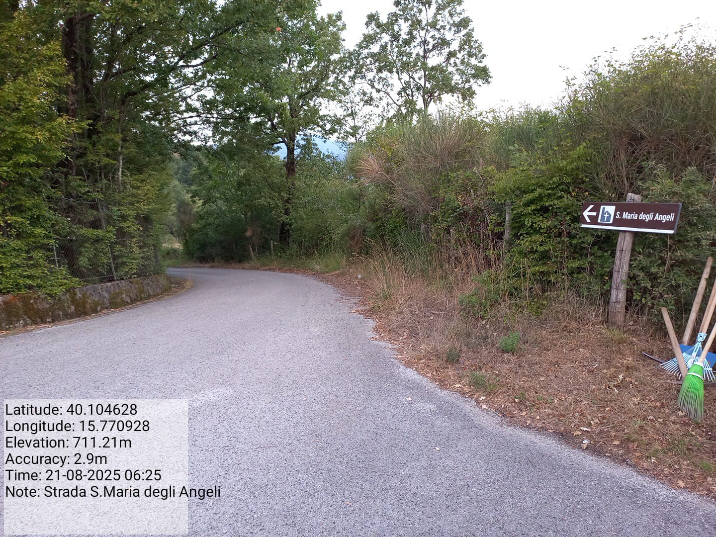 Galleria Fotografica Immagine