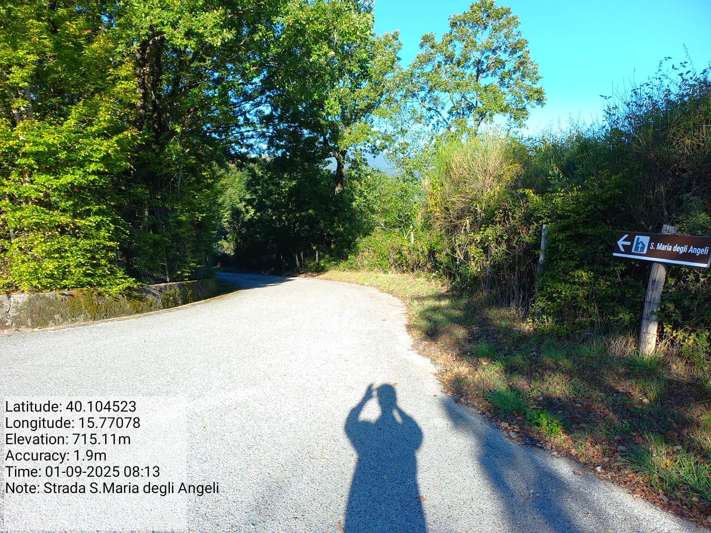 Galleria Fotografica Immagine