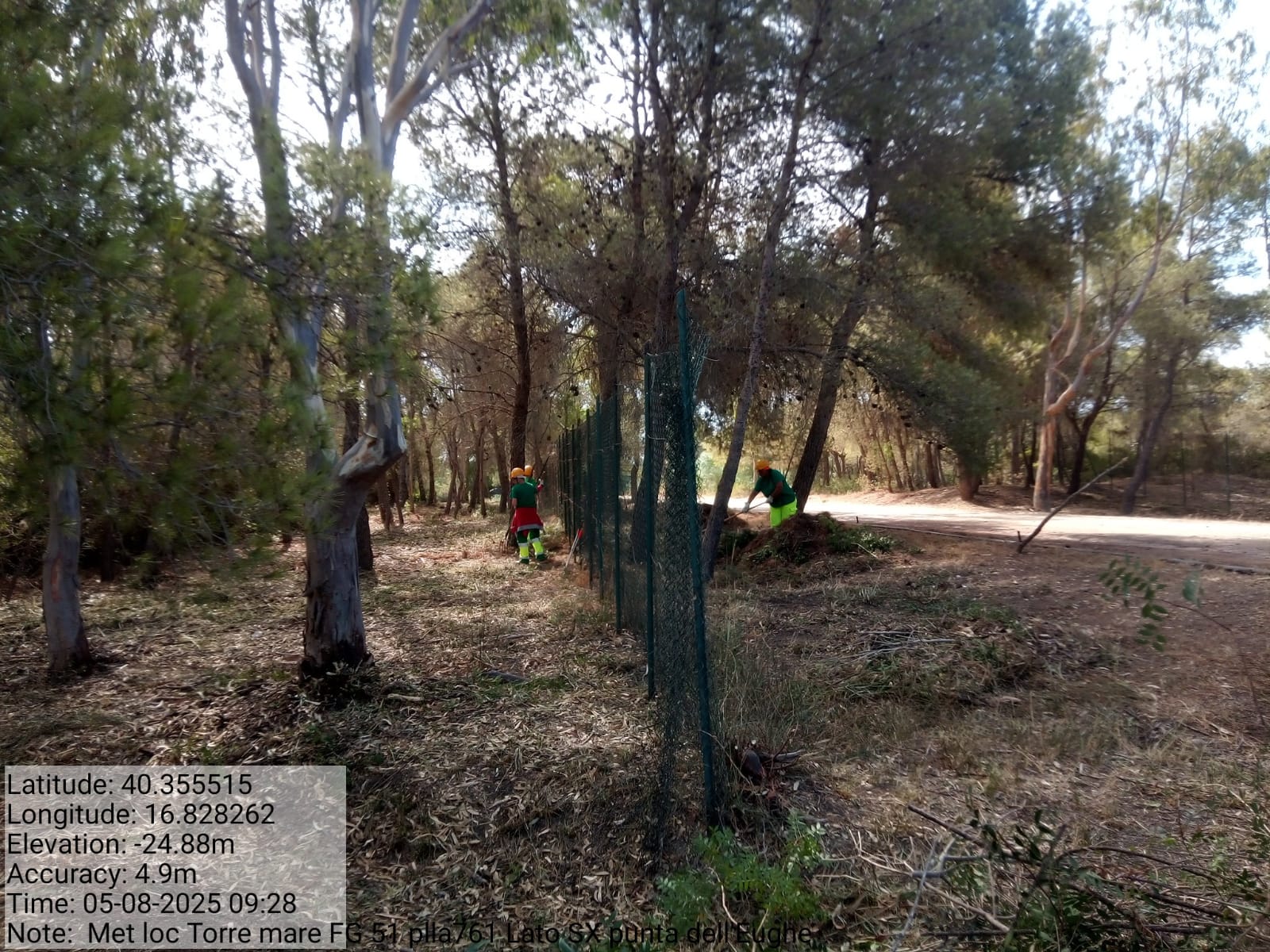 Galleria Fotografica Immagine