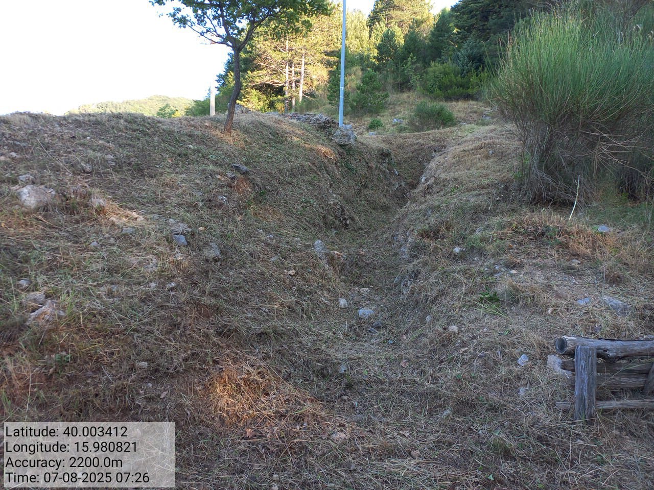 Galleria Fotografica Immagine