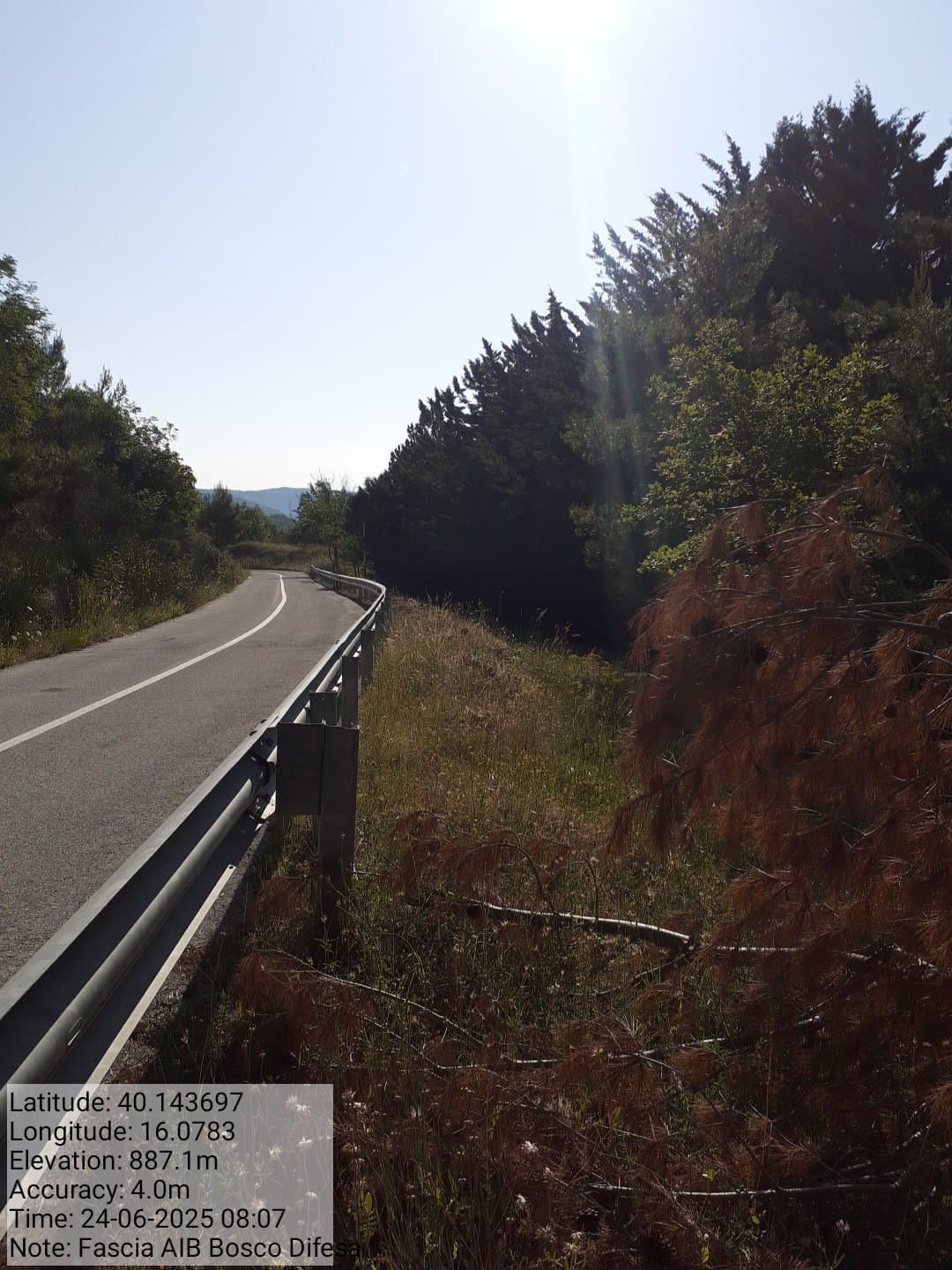 Galleria Fotografica Immagine