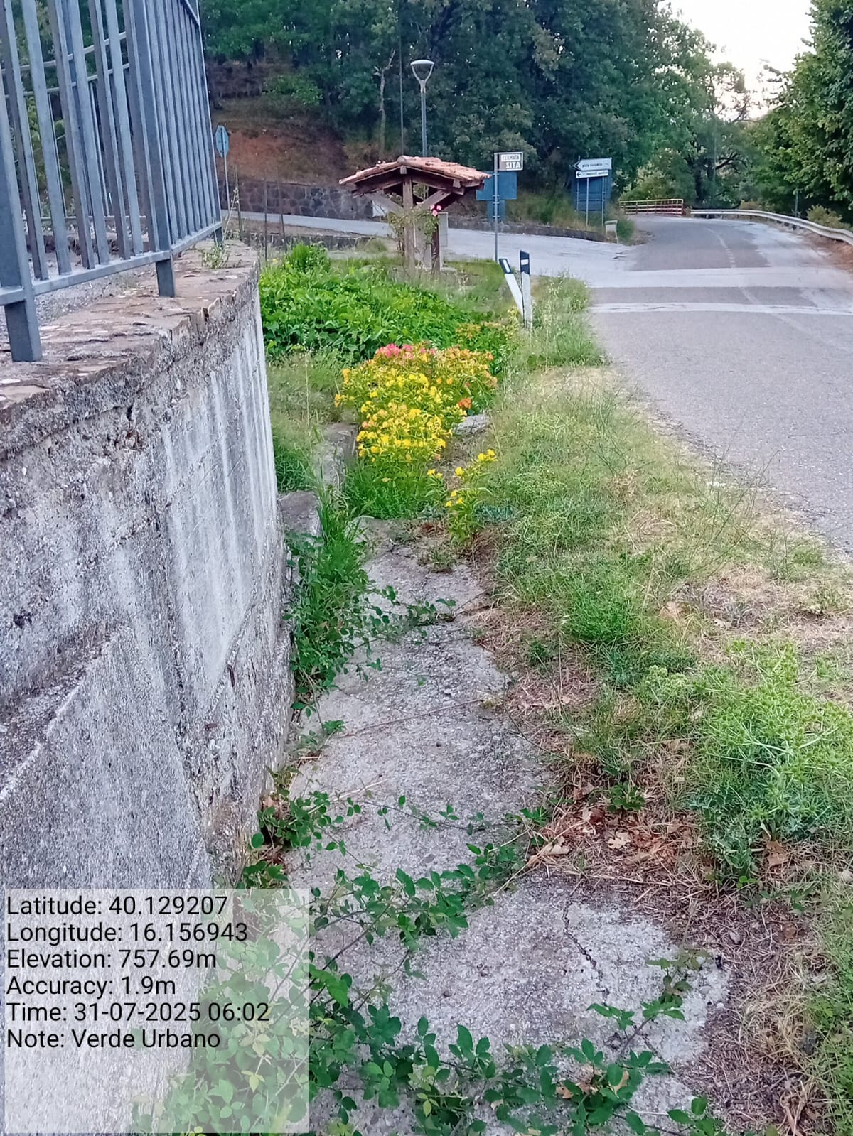 Galleria Fotografica Immagine