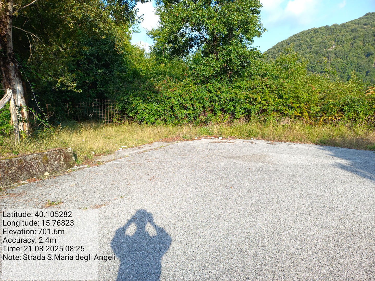 Galleria Fotografica Immagine