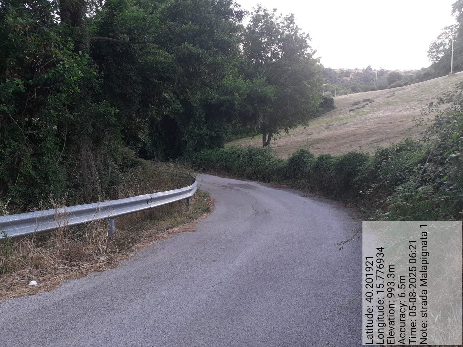 Galleria Fotografica Immagine