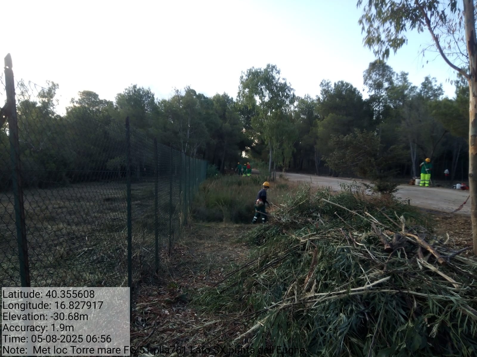 Galleria Fotografica Immagine