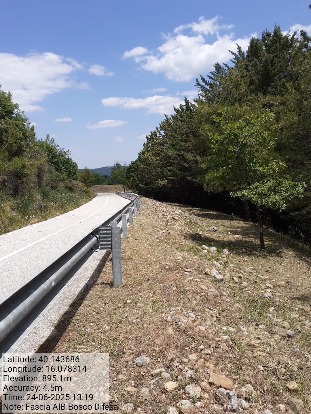 Galleria Fotografica Immagine