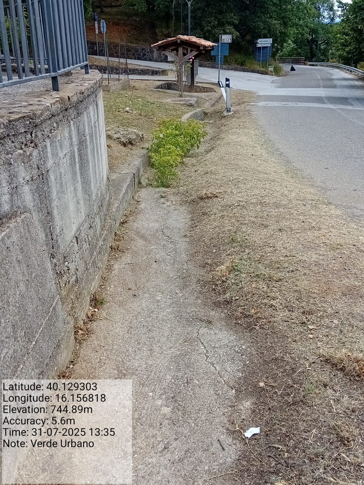 Galleria Fotografica Immagine