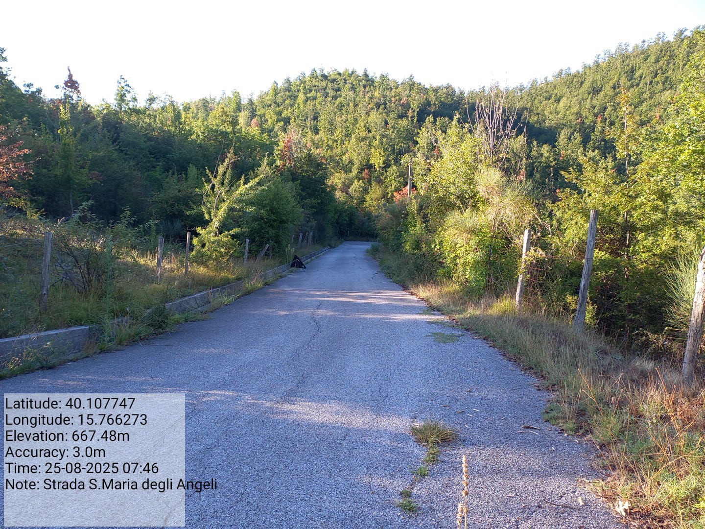 Galleria Fotografica Immagine