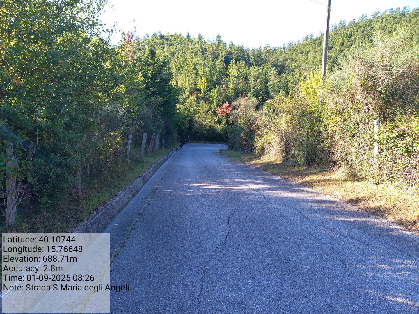 Galleria Fotografica Immagine