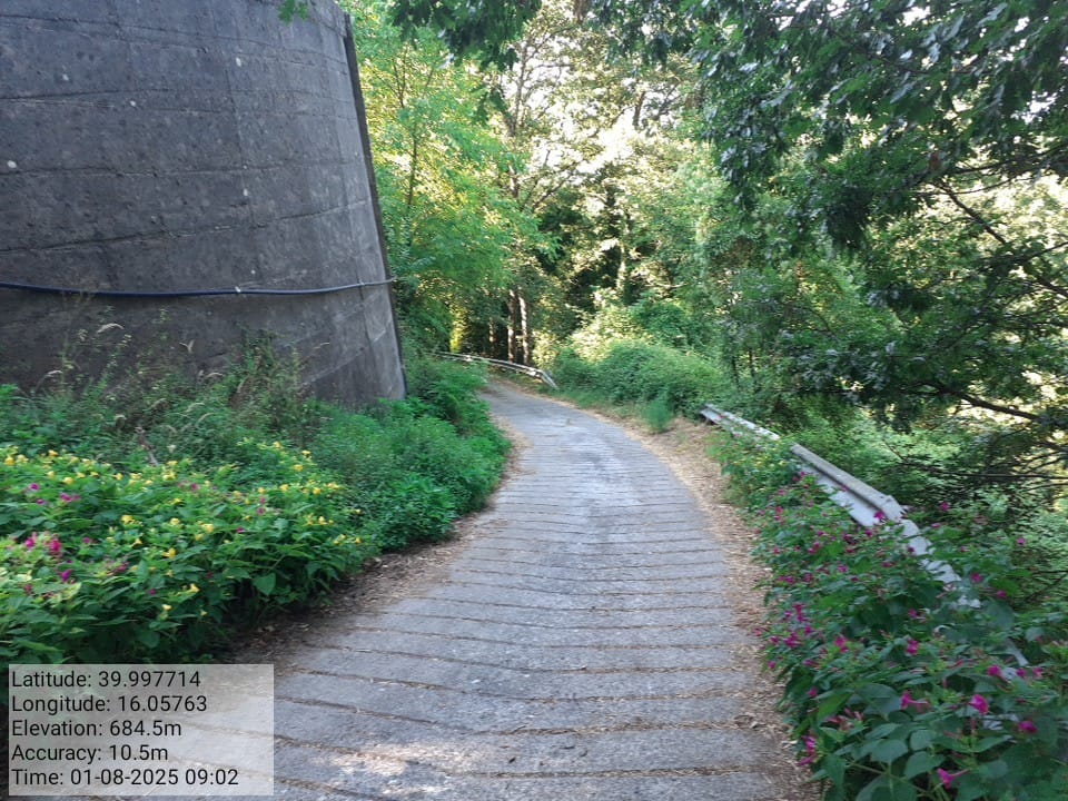 Galleria Fotografica Immagine