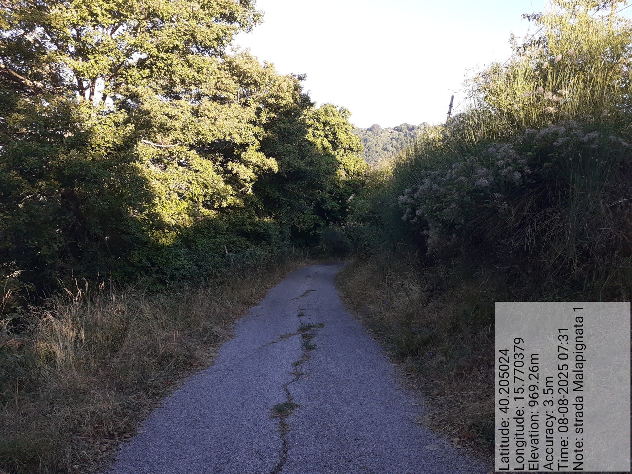 Galleria Fotografica Immagine