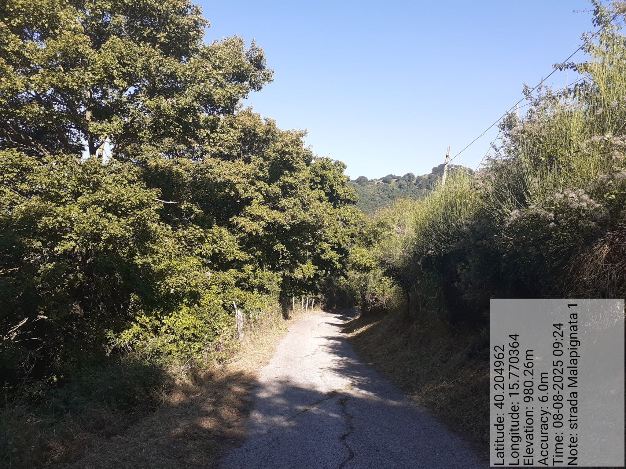 Galleria Fotografica Immagine