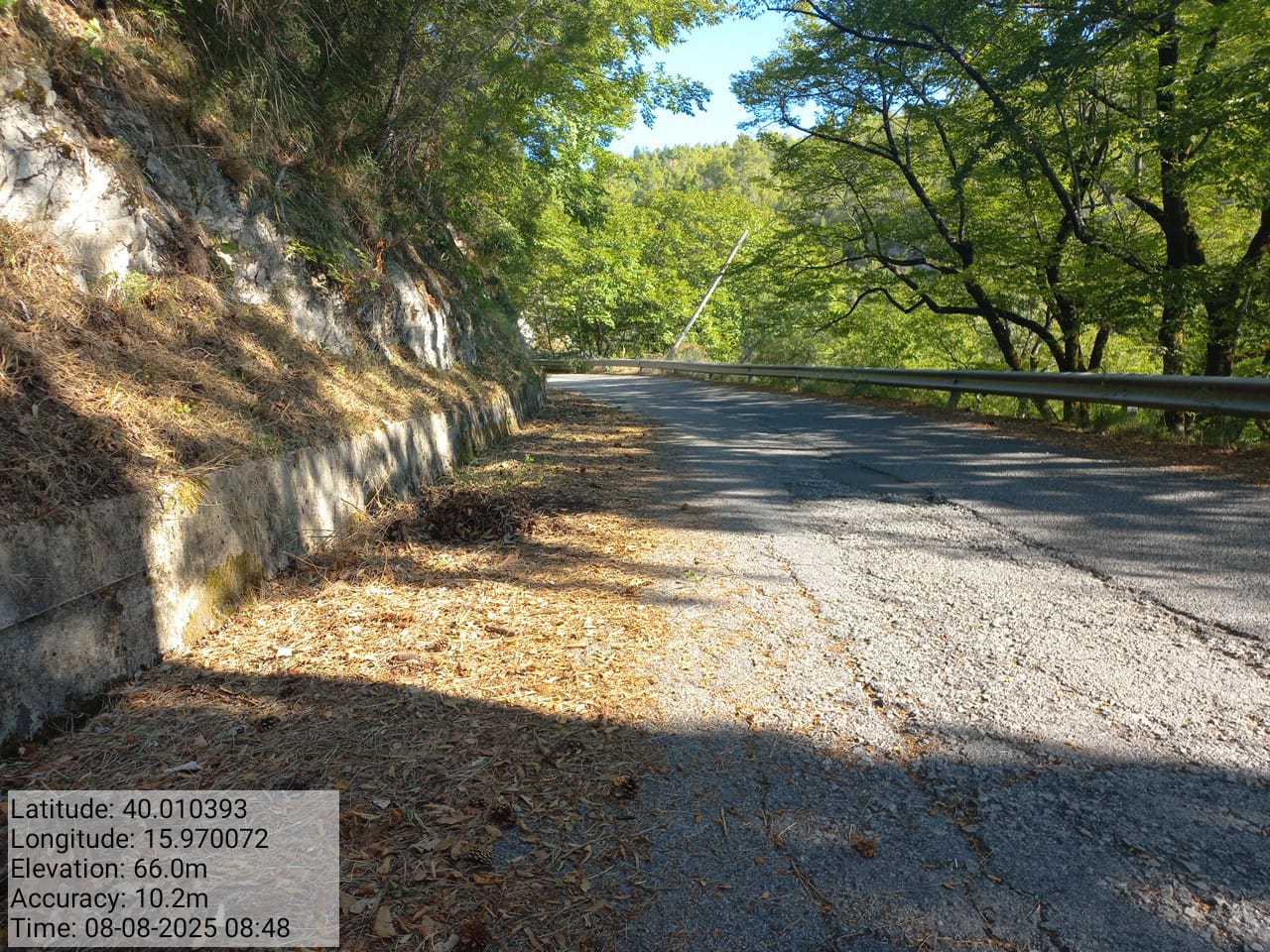 Galleria Fotografica Immagine