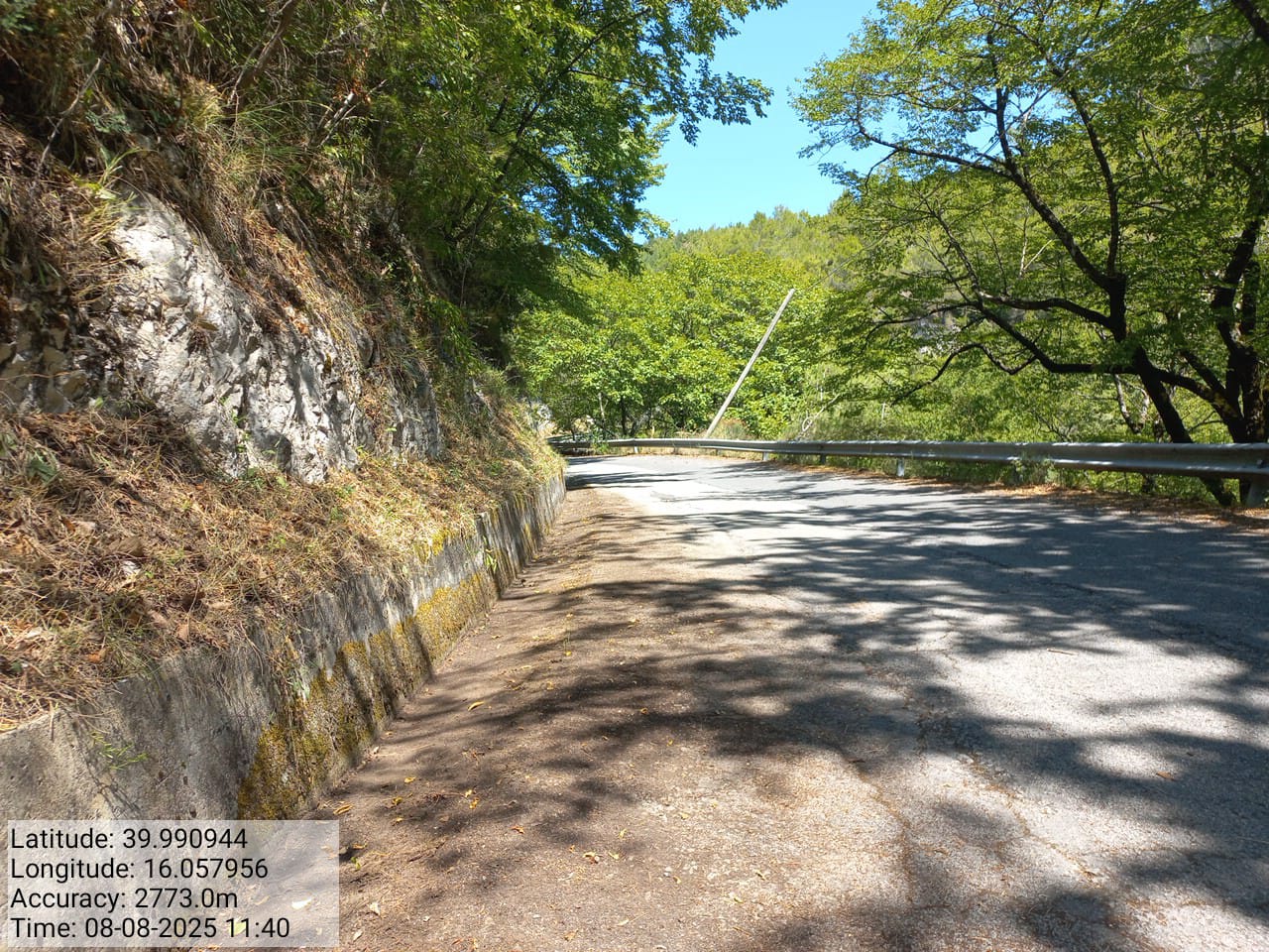 Galleria Fotografica Immagine