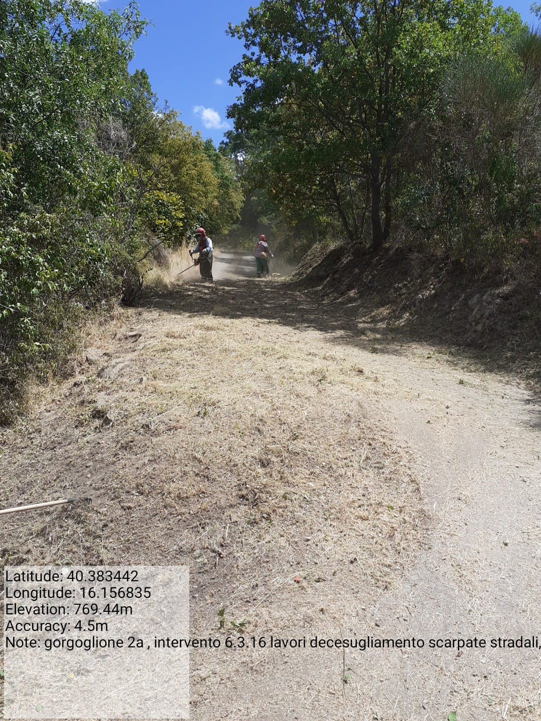 Galleria Fotografica Immagine