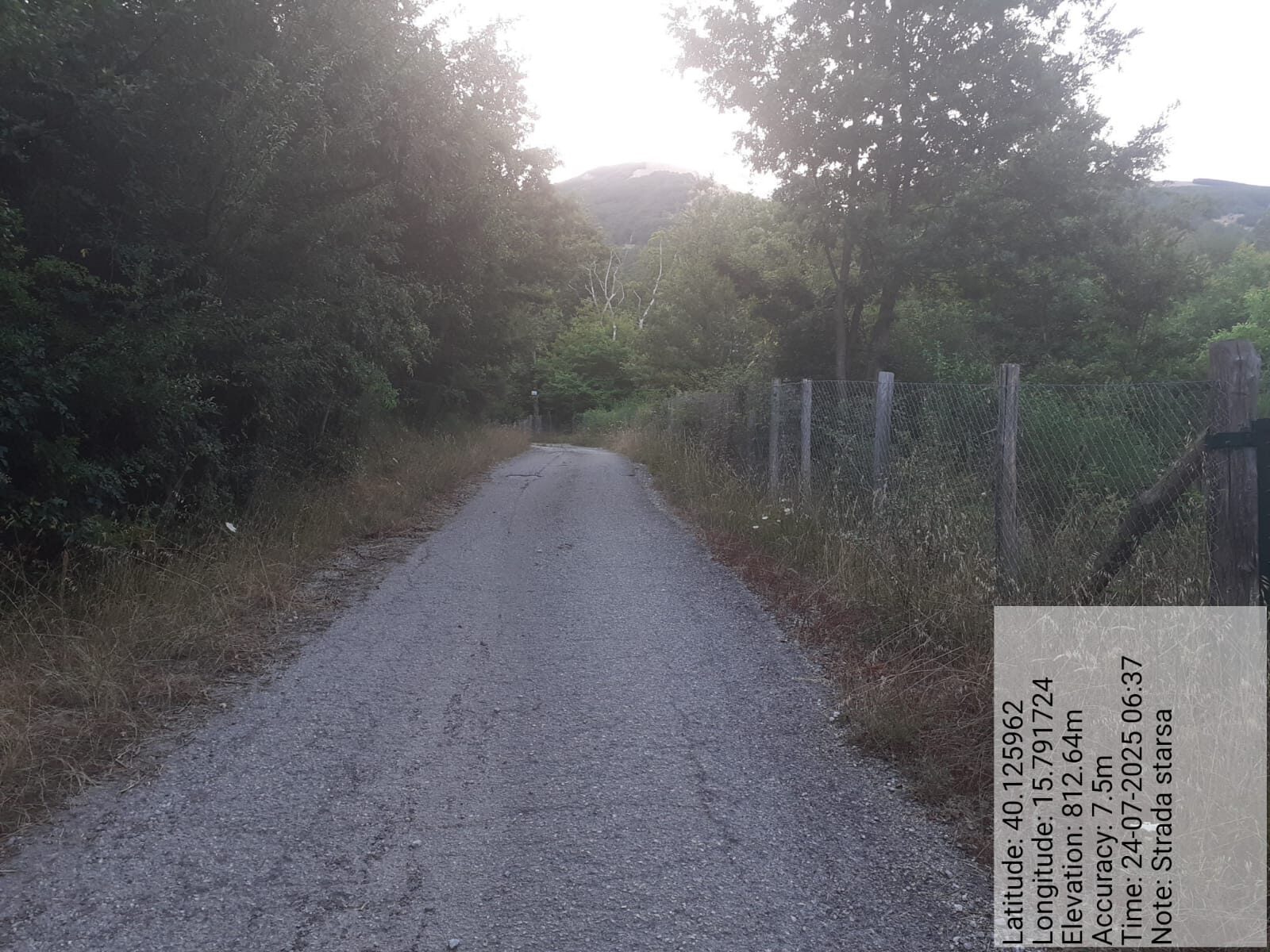 Galleria Fotografica Immagine