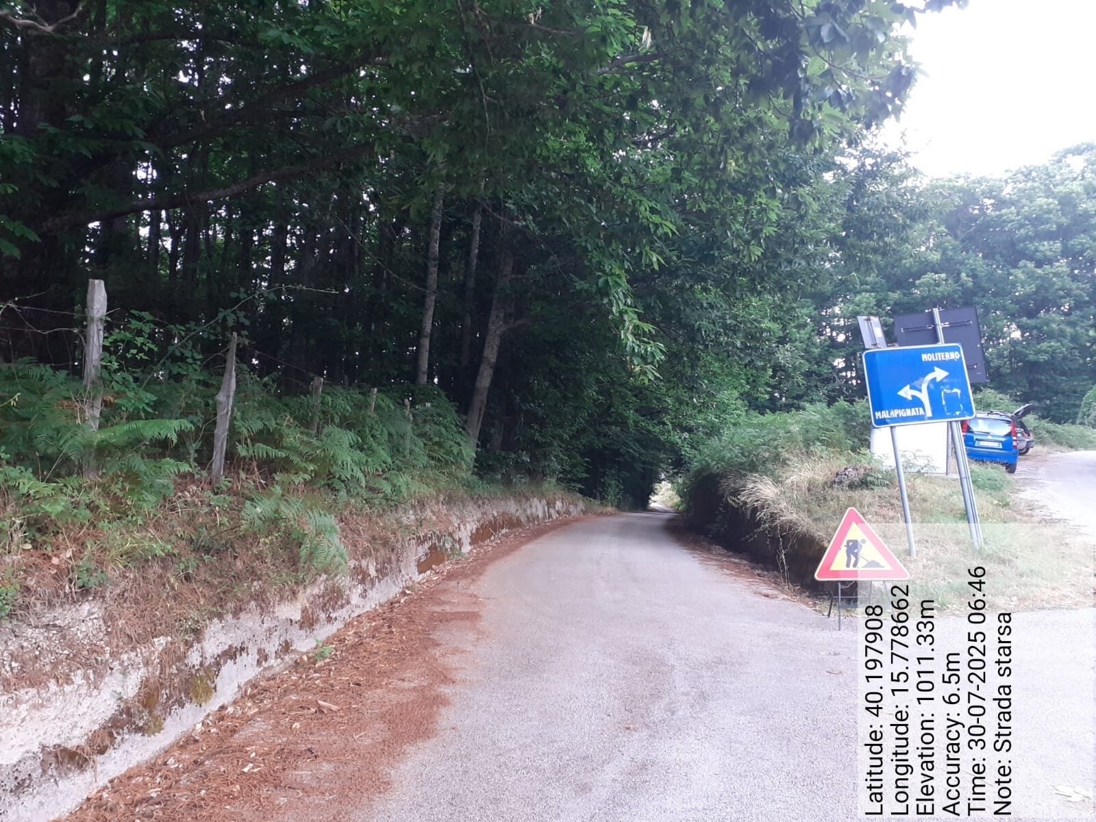 Galleria Fotografica Immagine