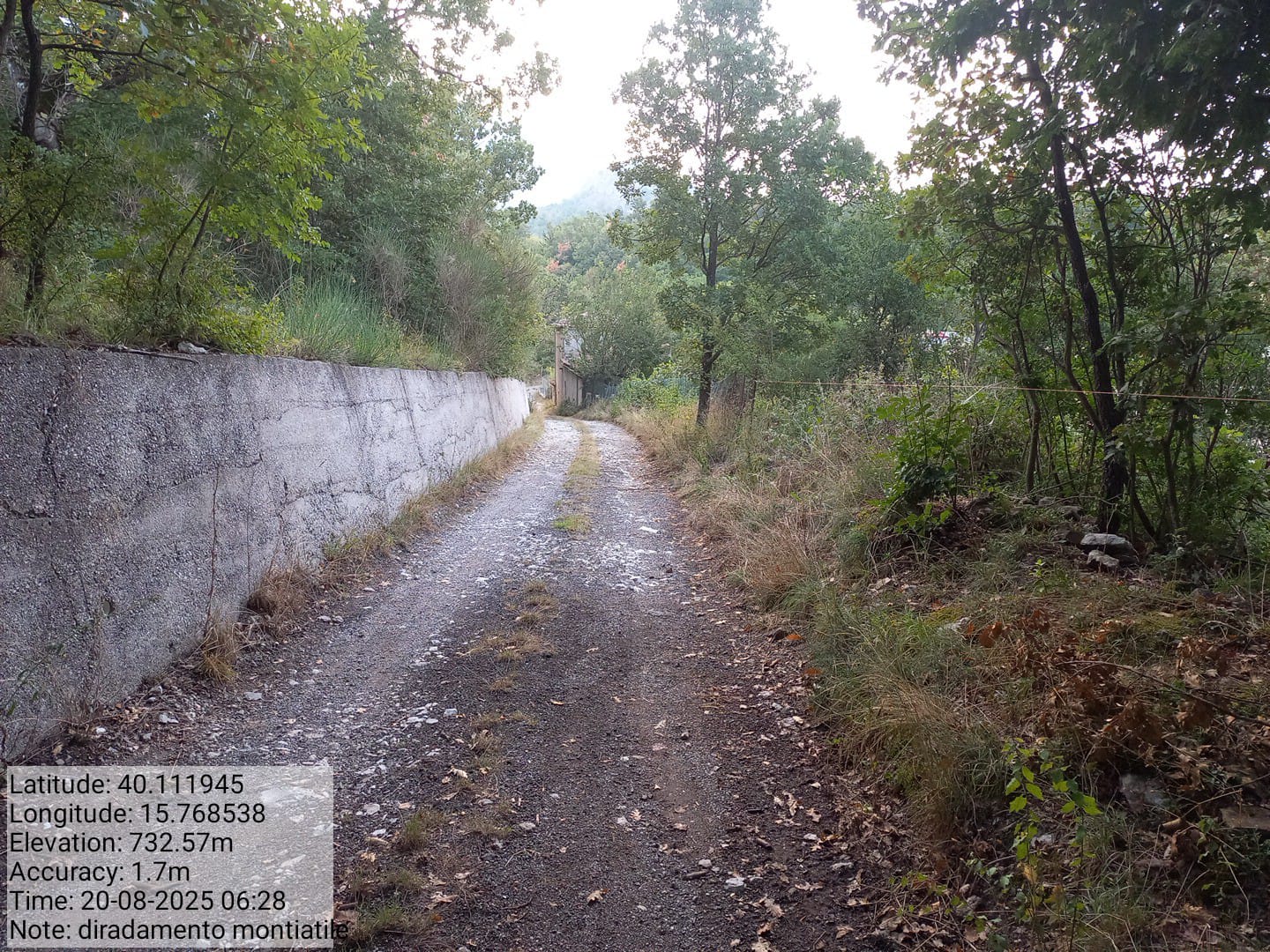 Galleria Fotografica Immagine