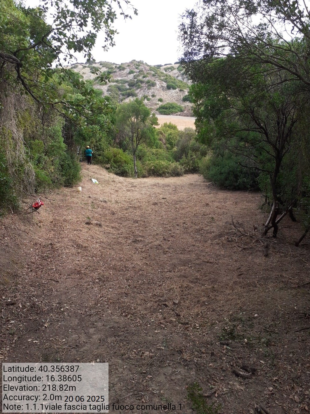 Galleria Fotografica Immagine