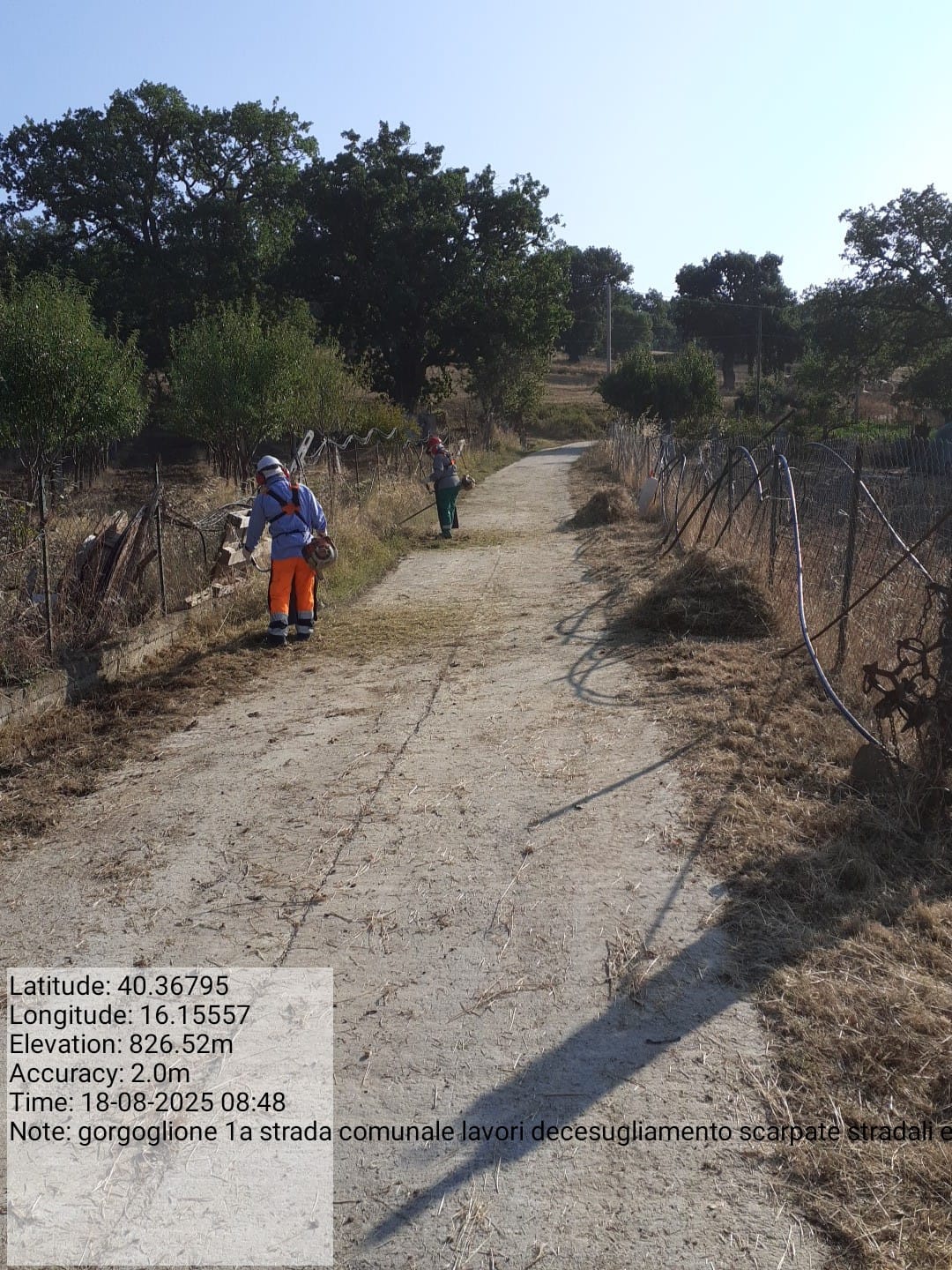 Galleria Fotografica Immagine