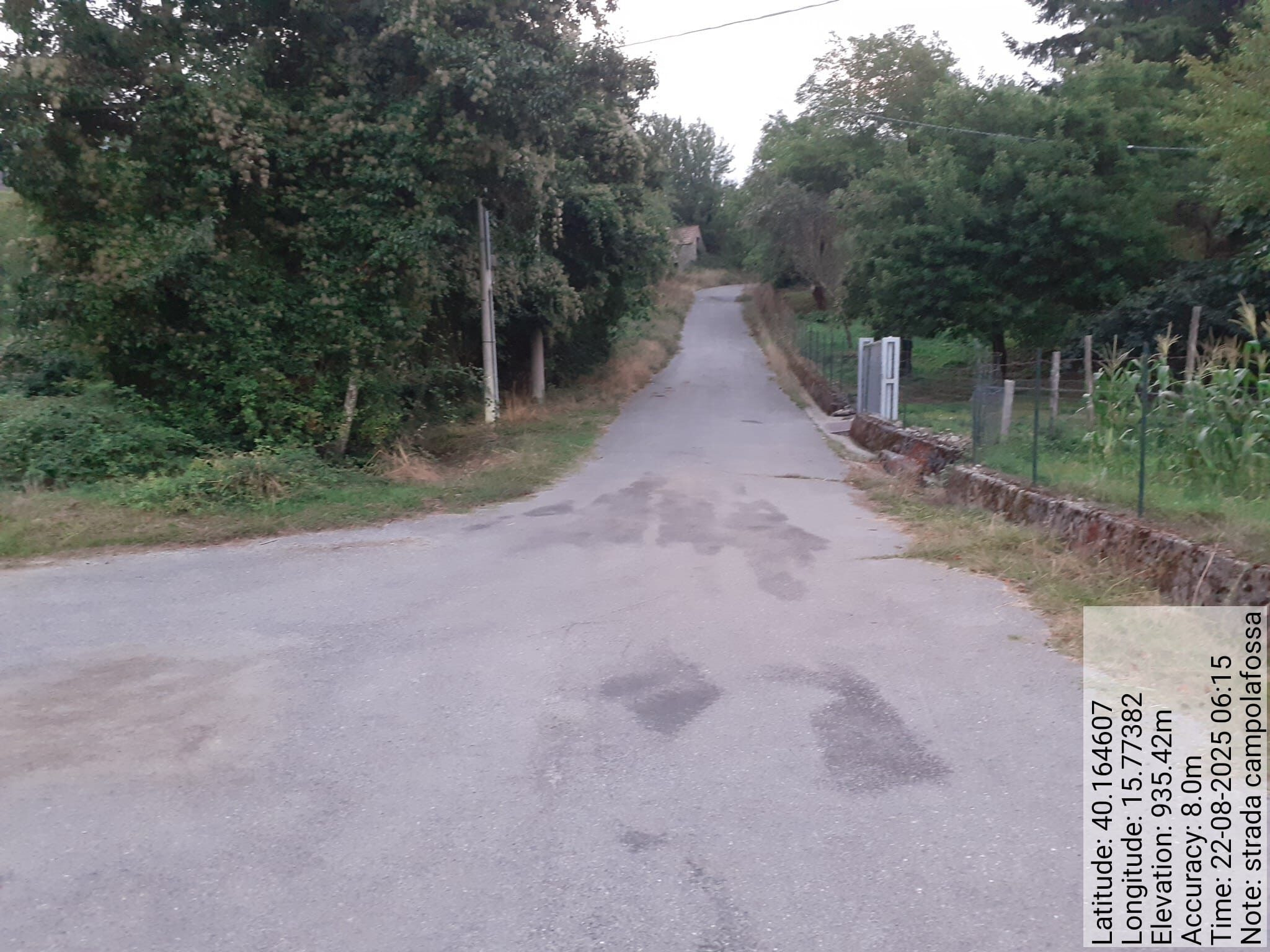 Galleria Fotografica Immagine