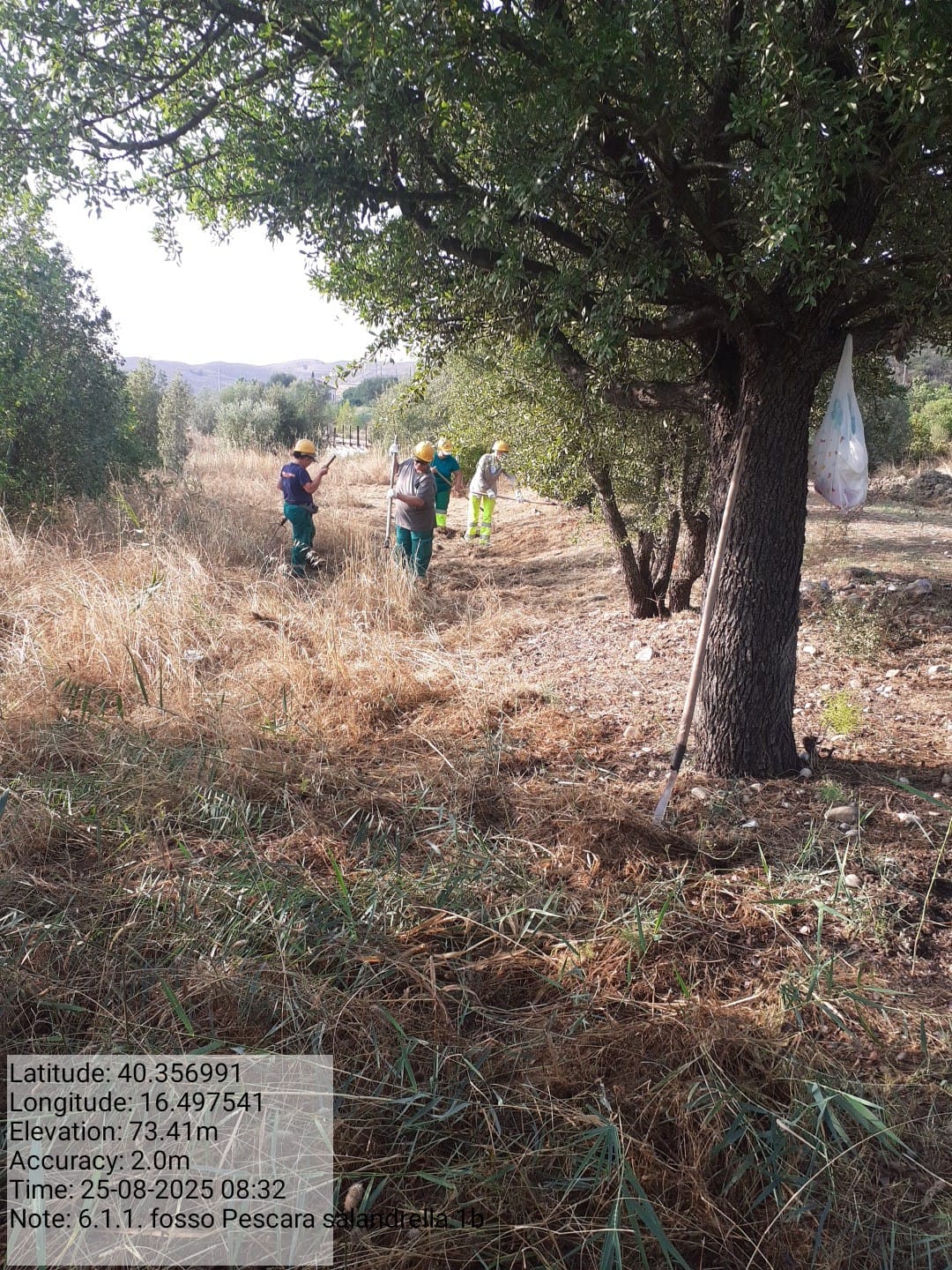 Galleria Fotografica Immagine