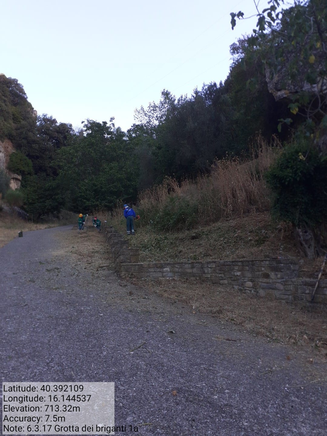 Galleria Fotografica Immagine