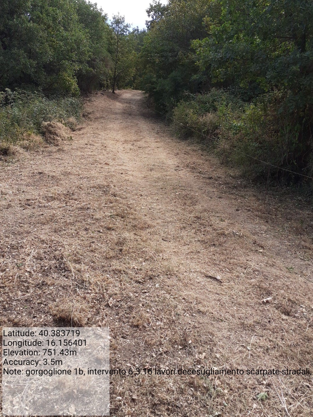 Galleria Fotografica Immagine