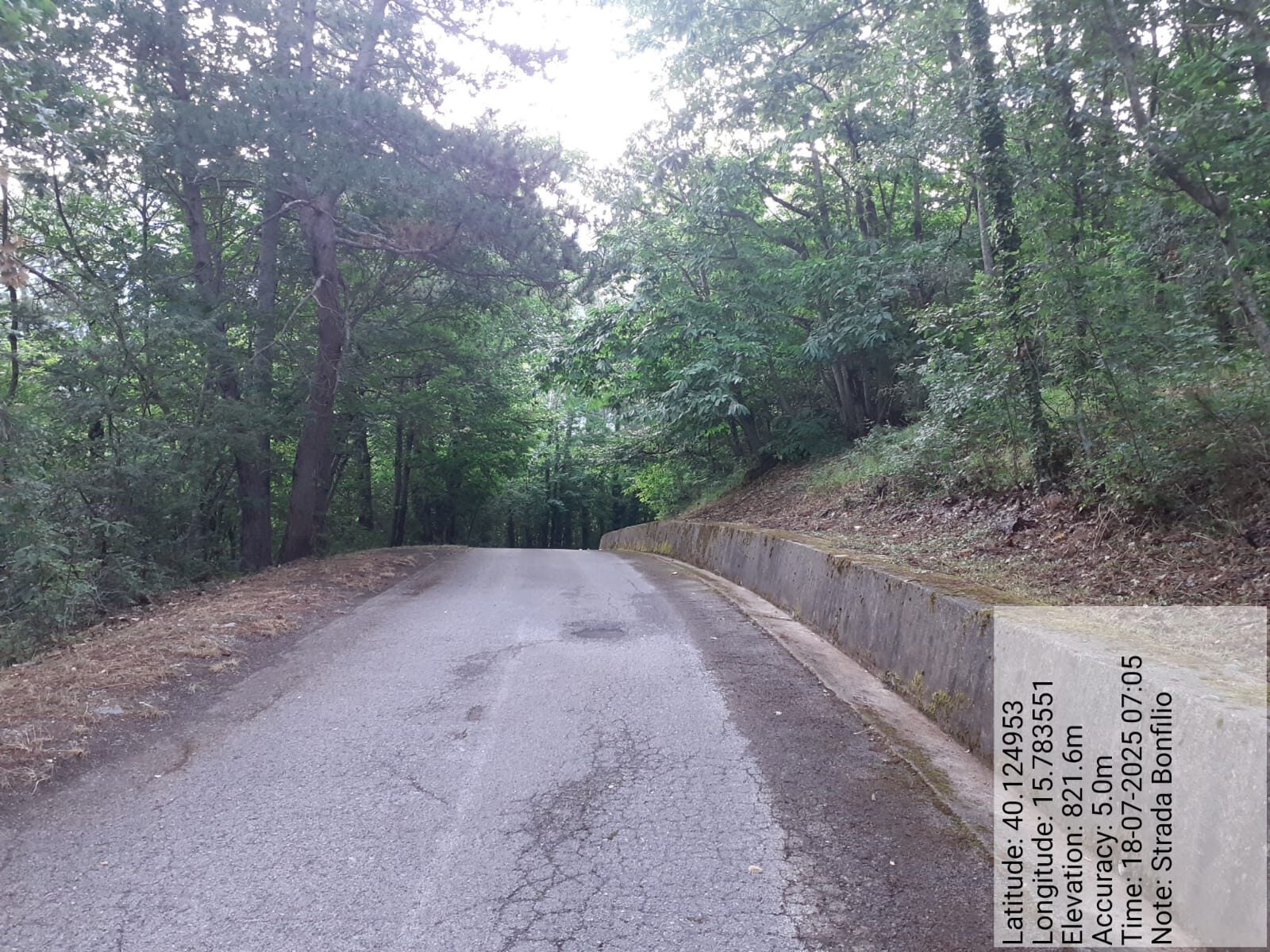 Galleria Fotografica Immagine