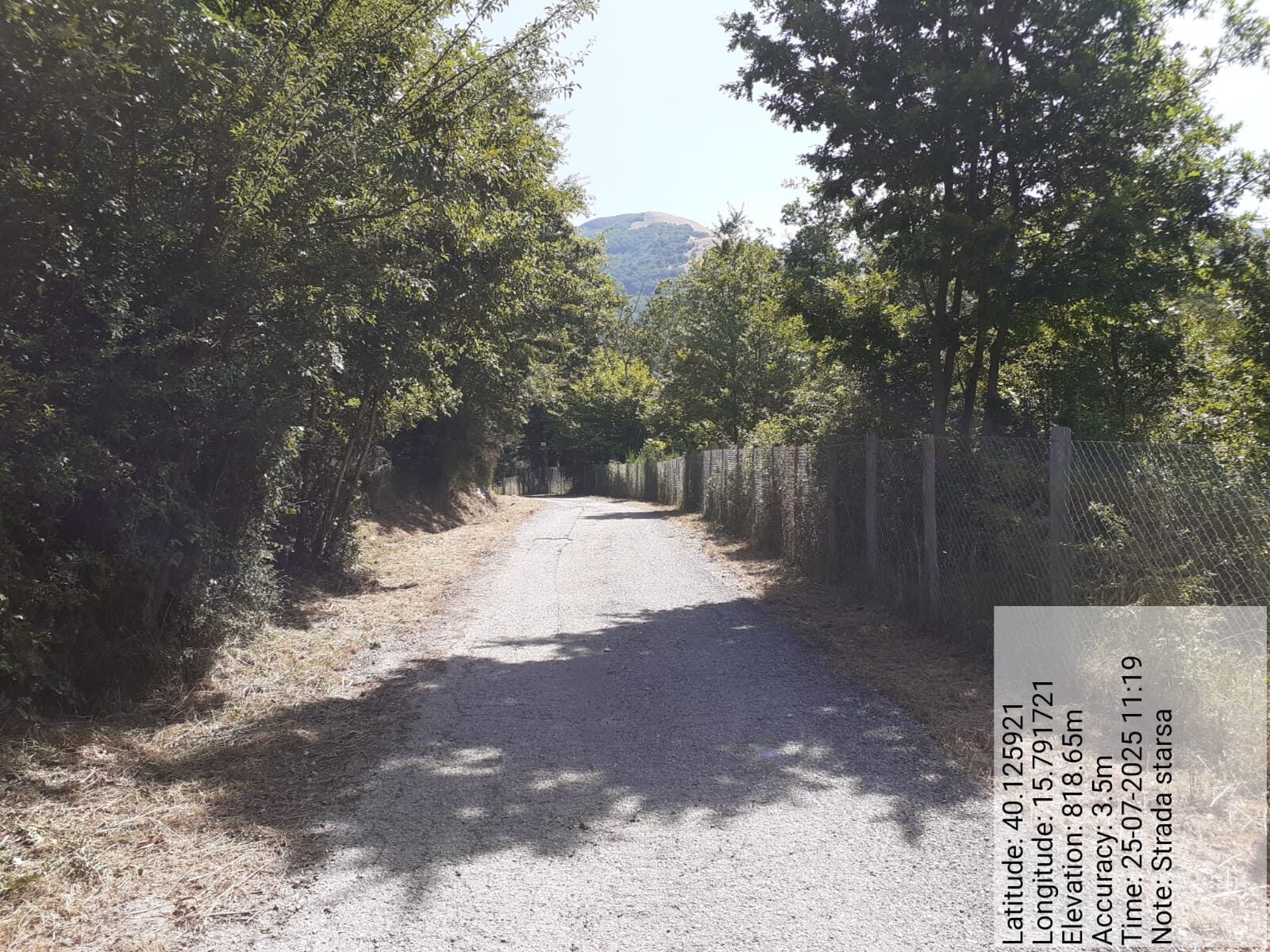 Galleria Fotografica Immagine