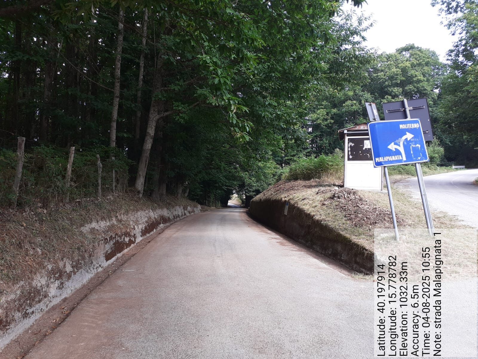 Galleria Fotografica Immagine