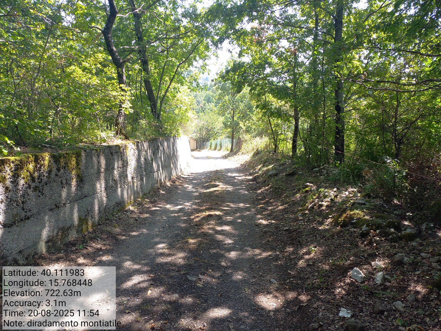 Galleria Fotografica Immagine