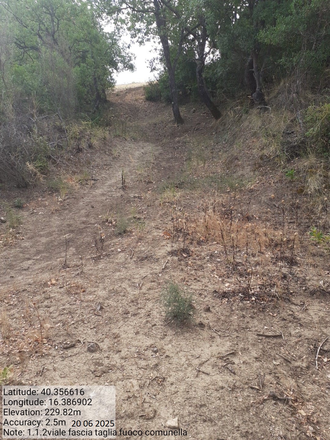 Galleria Fotografica Immagine