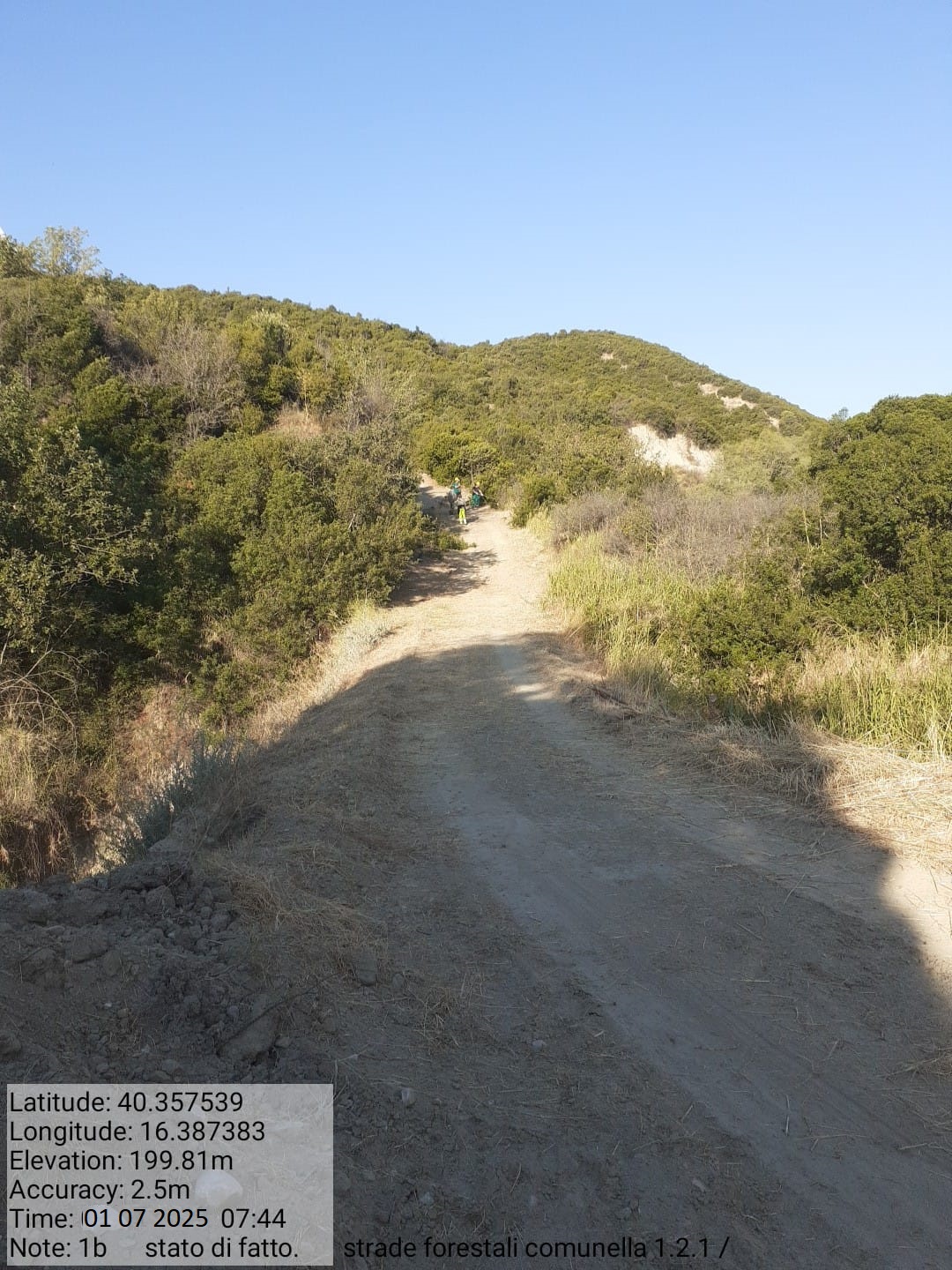 Galleria Fotografica Immagine