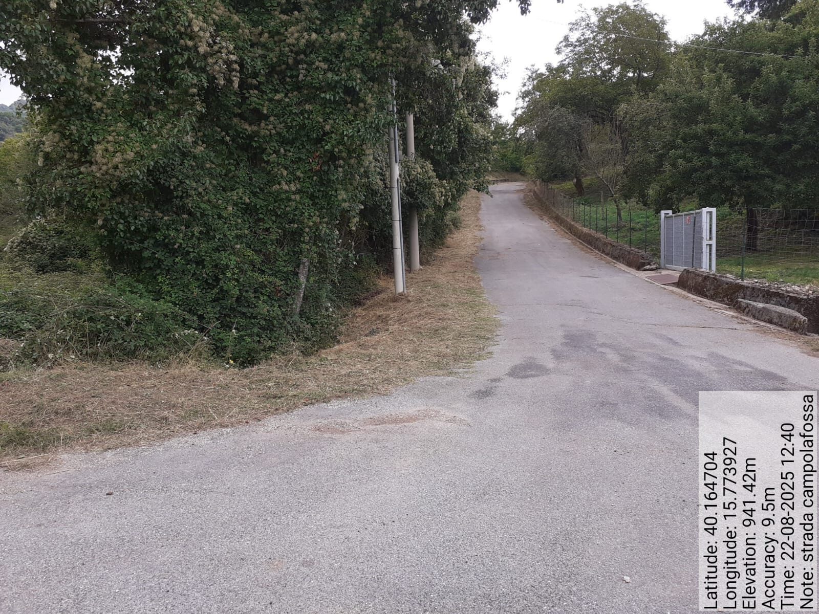 Galleria Fotografica Immagine